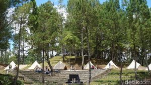 Foto: Glamping Mewah Danau Toba yang Dikunjungi Jokowi