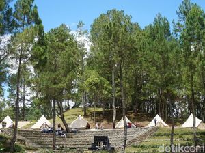 Kemah Mewah di Danau Toba Bakal Dilengkapi Bandara Kemah Mewah di Danau Toba Bakal Dilengkapi Bandara
