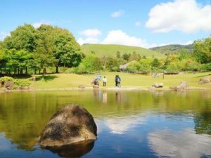 Taman Cantik Bak Lukisan di Jepang