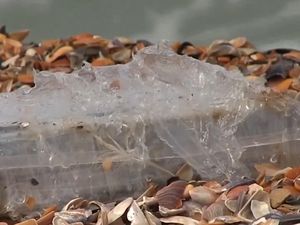 150 Kg Kokain Tercecer di Pantai Rumania