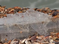 150 Kg Kokain Tercecer di Pantai Rumania