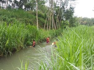 Kriminolog Perkirakan Kepala Korban Mayat dalam Koper Disembunyikan