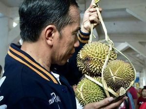 Cinta Durian Lokal, Jokowi Belanja Durian Medan hingga Kendari