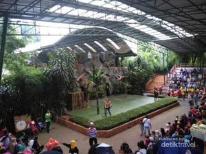 6 Show Wajib Saat Plesir ke Taman Safari II Prigen