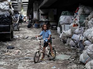 Mereka yang Bertahan di Kolong Tol Pluit