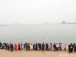 Turis China Ketiduran di Pantai, eh Hampir Tenggelam karena Laut Pasang