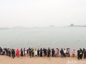 Turis China Ketiduran di Pantai, eh Hampir Tenggelam karena Laut Pasang Turis China Ketiduran di Pantai, eh Hampir Tenggelam karena Laut Pasang