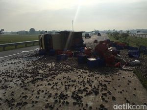 Truk Terguling di Tol Jombang-Mojokerto, Muatan Bekicot Berhamburan