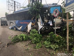 Bus Sugeng Rahayu Ngebut Lalu Tabrak Pohon di Madiun, 3 Orang Terluka