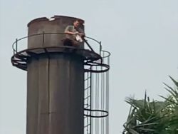 Ardi Bakrie Sempat Berharap Pria di Atas Cerobong Asap Tak Jadi Bunuh Diri