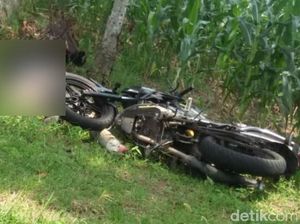 Seorang Biker di Lamongan Tewas Tertimpa Dahan Pohon Mahoni