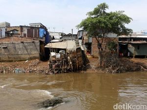 Benarkah Naturalisasi Sungai Jalan Satu-satunya Jakarta Bebas Banjir?