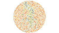 Tes Buta Warna, Bisakah Kamu Menemukan Kegiatan Seru di Gambar Berikut?