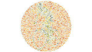 Tes Buta Warna, Bisakah Kamu Menemukan Kegiatan Seru di Gambar Berikut?