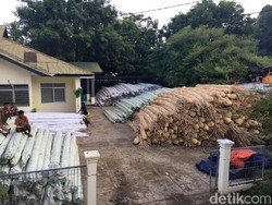 Penyelundupan 104 Ton Rotan Rp 1,8 M ke Timor Leste Digagalkan