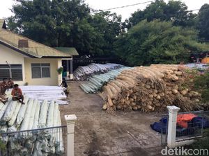 Penyelundupan 104 Ton Rotan Rp 1,8 M ke Timor Leste Digagalkan Penyelundupan 104 Ton Rotan Rp 1,8 M ke Timor Leste Digagalkan