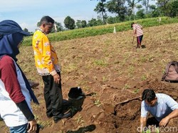 Pencurian Peninggalan Purbakala di Bondowoso Digagalkan Warga