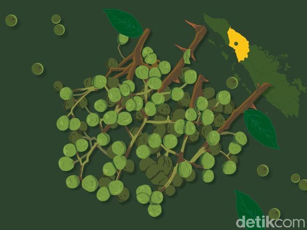 Andaliman, Rempah Batak yang Melegenda Andaliman, Rempah Batak yang Melegenda