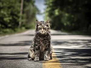 Pet Sematary: Legenda Kuburan Hewan Yang Mengerikan Pet Sematary: Legenda Kuburan Hewan Yang Mengerikan