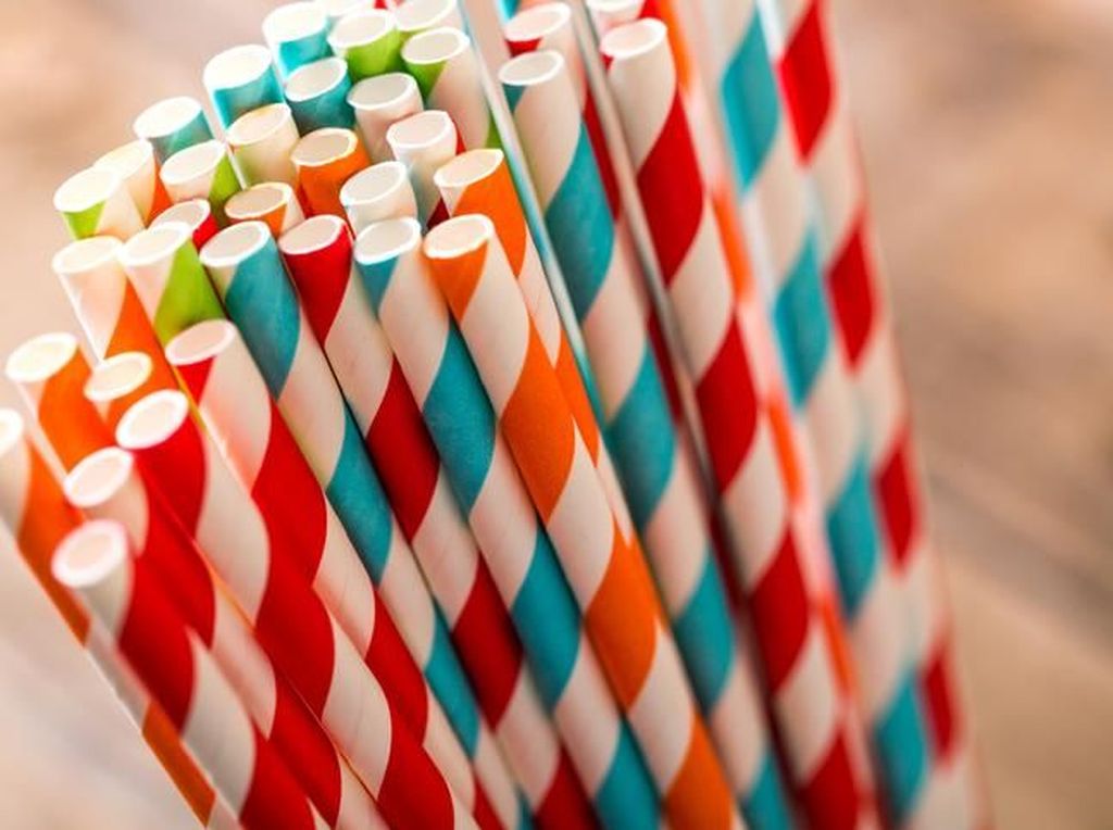 Bukan Plastik! Wajib Punya 5 Sedotan yang Ramah Lingkungan Bukan Plastik! Wajib Punya 5 Sedotan yang Ramah Lingkungan