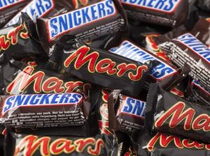 Wouw! Perusahaan Ini Cari Anak Magang Untuk Cicip Cokelat Enak Wouw! Perusahaan Ini Cari Anak Magang Untuk Cicip Cokelat Enak
