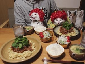 Pasangan Ini Abadikan Momen Imut Kucingnya Saat Makan Enak