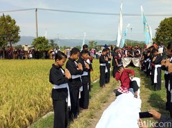 Festival Glinggang Village, Cara Warga Ponorogo Syukuri Panen Raya