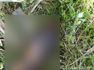 Polisi Cari Traktor Pria di Malang Tewas dengan Luka