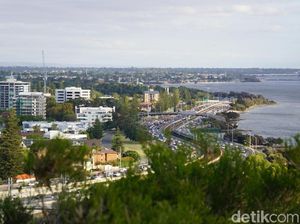 Tempat Ini Bebas dari Hingar Bingar Cebong dan Kampret
