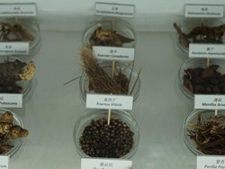 Melihat Museum Teh Herbal di Negeri Jiran