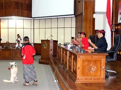 Hore! Anjing Kintamani Diakui Sebagai Ras Asli Indonesia