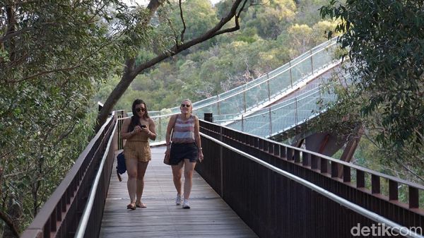 Foto: Kings Park di Perth, Taman Kota Terbesar Sedunia