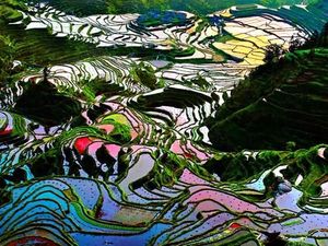 Jajaran Sawah Terindah se-Asia