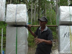 Jalan Kaki 13 Jam, Begini Susahnya Kirim Surat Suara ke Ujung Gorontalo