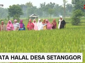 Damainya Destinasi Wisata Islami Desa Setanggor di Lombok