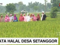 Damainya Destinasi Wisata Islami Desa Setanggor di Lombok