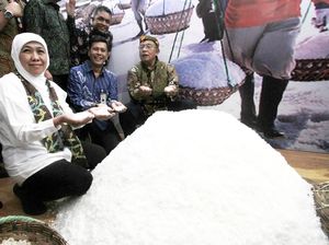 Asyik KUR Garam Kini Tersalurkan