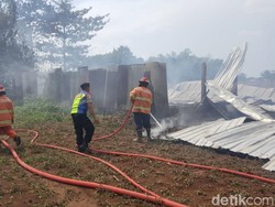 Diduga Korsleting, Gudang Kapuk di Pasuruan Terbakar Hingga Ambruk