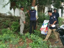 Caleg Pemasang Bandel, Bawaslu Lamongan Lanjutkan Penertiban APK