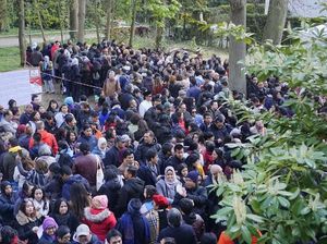 WNI di Den Haag Antre di TPS, Jumlah Pemilih Naik Drastis WNI di Den Haag Antre di TPS, Jumlah Pemilih Naik Drastis