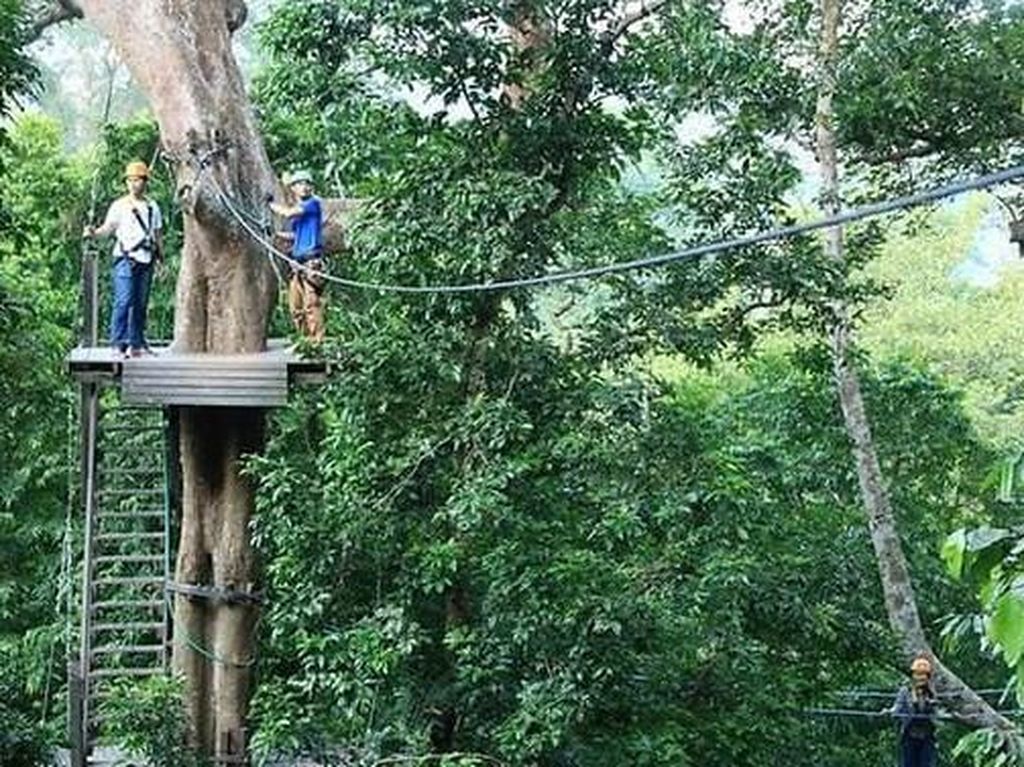 Turis Kanada Tewas Usai Terjatuh dari Atraksi Zipline di Thailand Turis Kanada Tewas Usai Terjatuh dari Atraksi Zipline di Thailand
