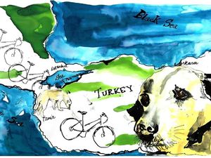 Kisah Pesepeda yang Diselamatkan Hidupnya oleh Anjing Jalanan