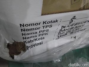 Ratusan Kotak Suara di Boyolali Rusak Akibat Kehujanan Ratusan Kotak Suara di Boyolali Rusak Akibat Kehujanan