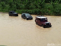 Ahli Hukum Tata Negara: TPS Bermasalah Hanya 0,28%, Pemilu Sukses