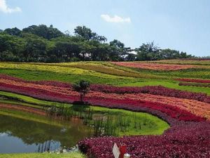 Bogor Rasa Belanda, Penasaran? Bogor Rasa Belanda, Penasaran?