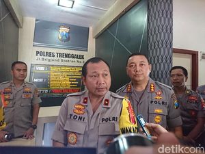 Polisi Jadi Tersangka Pembalakan Sonokeling, Wakapolda: Tegakkan Aturan