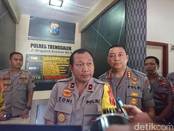 Polisi Jadi Tersangka Pembalakan Sonokeling, Wakapolda: Tegakkan Aturan