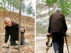 Auto Kagum! Perjuangan Pria Tua Tanam Pohon dengan Kondisi 2 Kaki Diamputasi