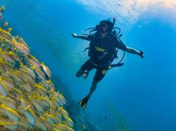 Keren, iPhone Turis Jatuh ke Dasar Laut Berhasil Ditemukan Penyelam