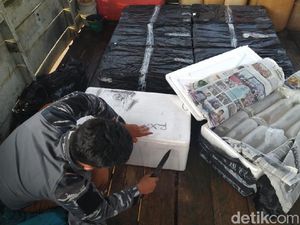 Aparat Bidik Pengepul Baby Lobster Ilegal di Jabar